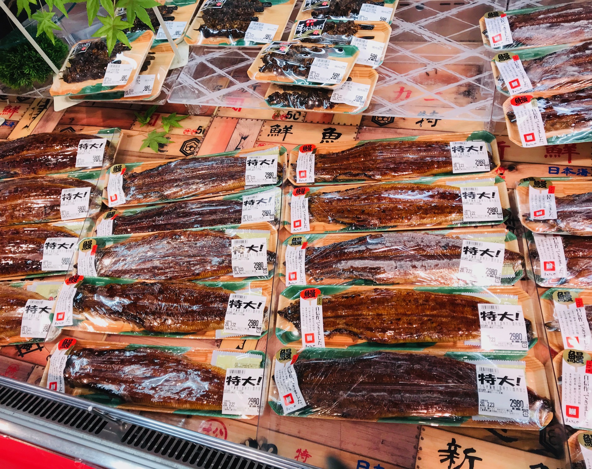 ゆめタウンうなぎ