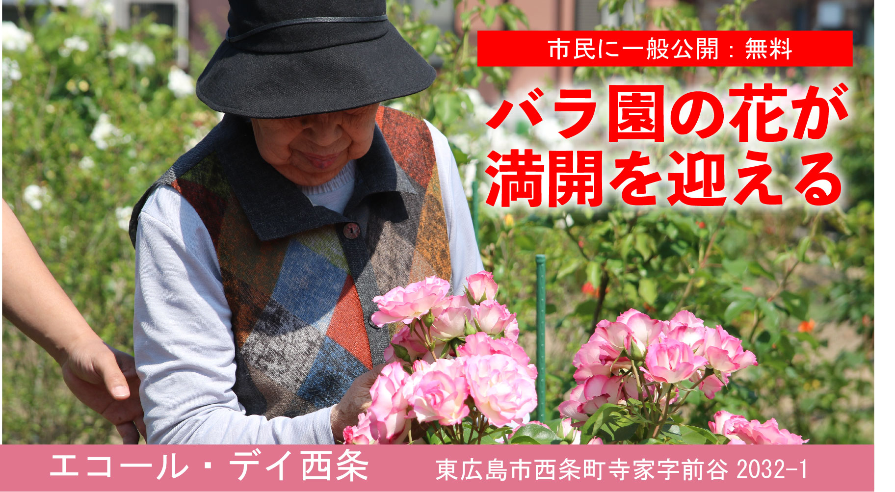 エコール・デイ