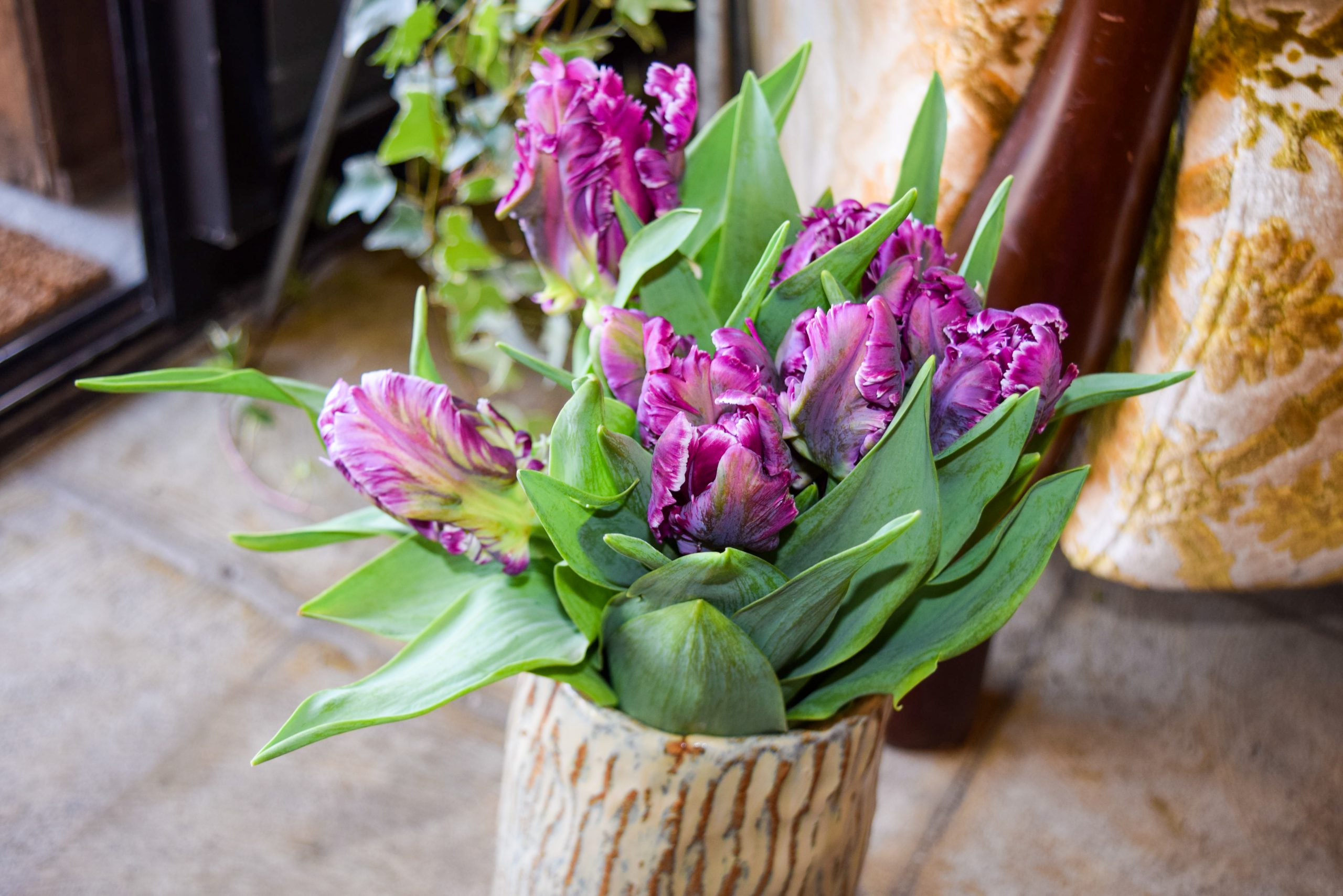 チューリップ