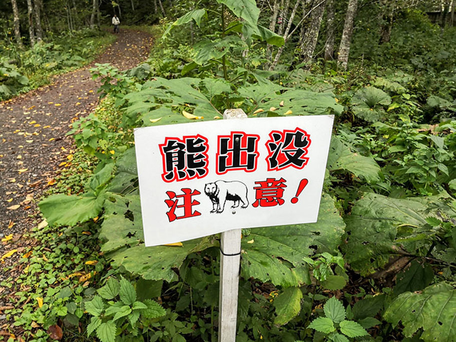 東広島-クマ目撃情報