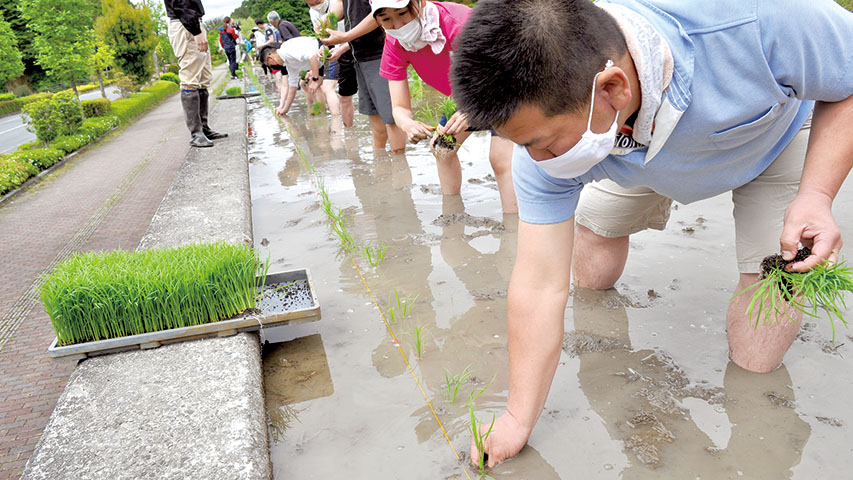 近大附属広島中東広島校