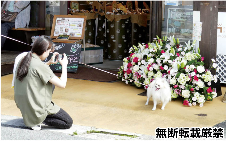 みんぷら酒造通り