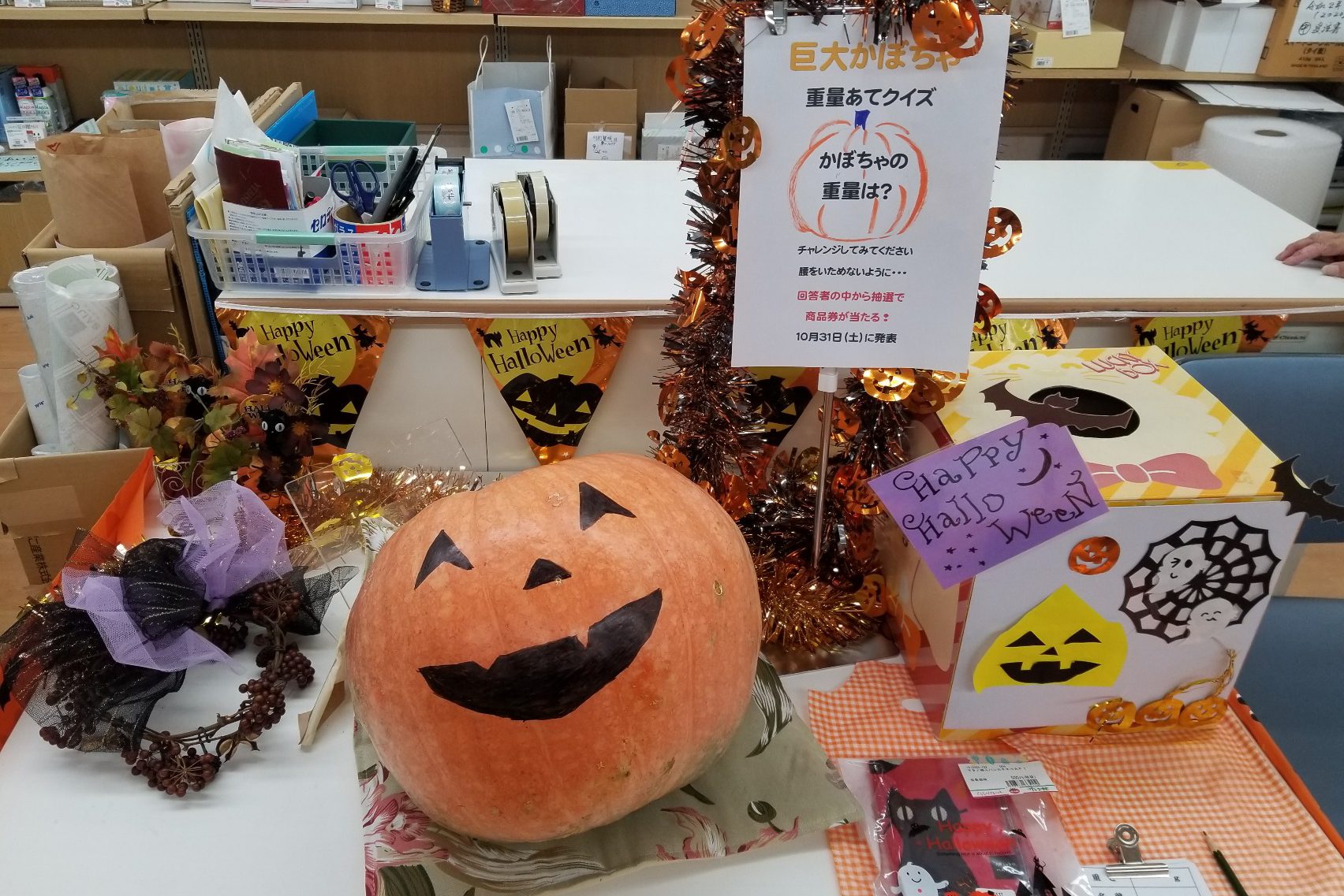 カレンズＫＵＲＡＴＡ　かぼちゃ