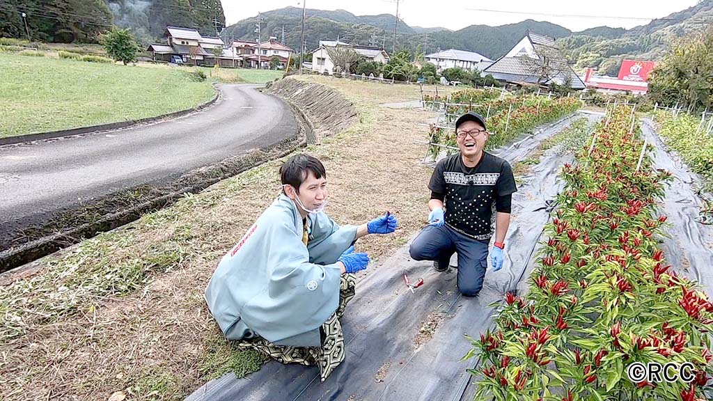 元就。11月1日の放送分