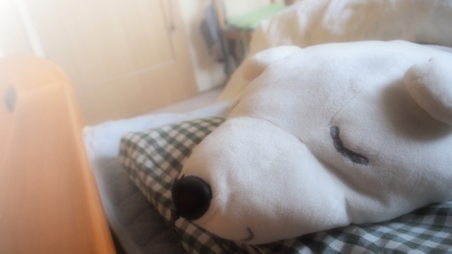 ぬいぐるみのおとまりかい