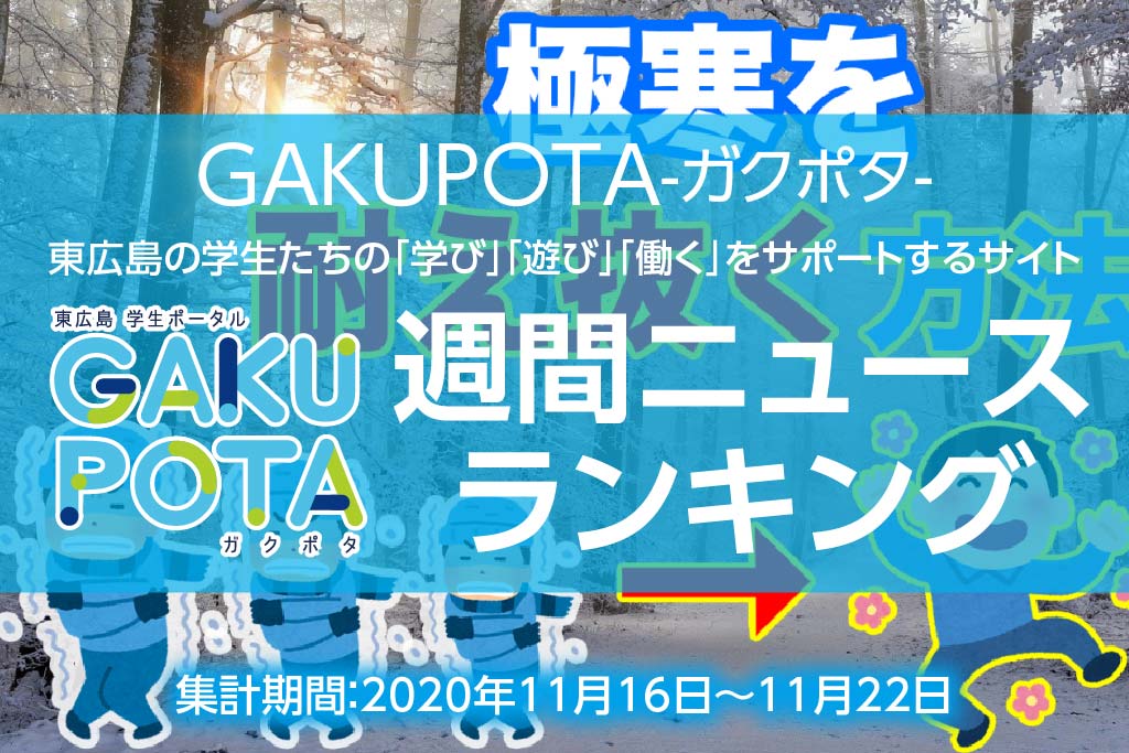 アクセス_ガクポタ201123