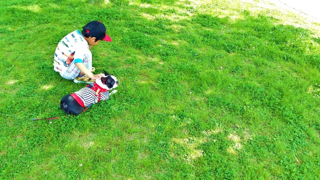 ワンコと楽しく暮らすために