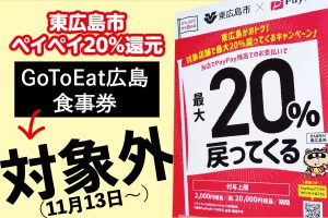 ペイペイ対象外