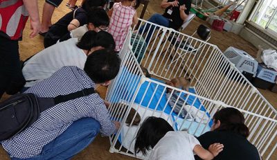 花房さん譲渡会