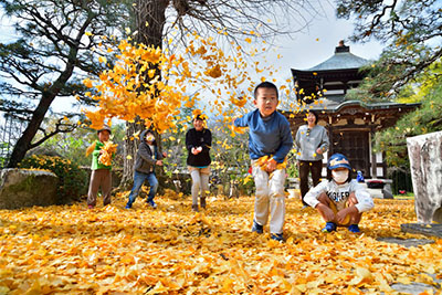 みんぷら落ち葉シャワー