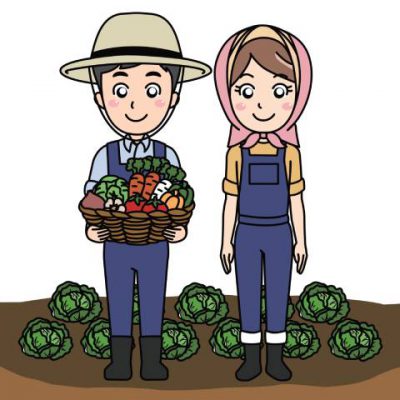 市民農園で野菜作り