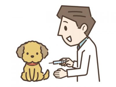 狂犬病ワクチン