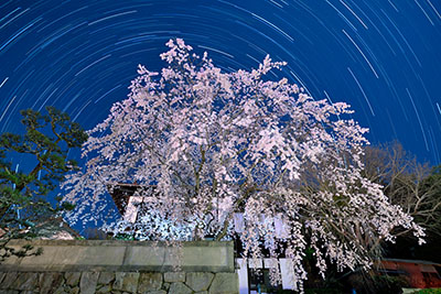 みんぷら超専寺0415