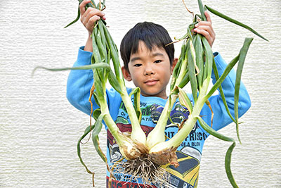 みんぷら４個のタマネギ0429
