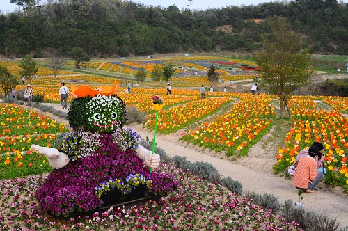 ポポとアイスランドポピー2