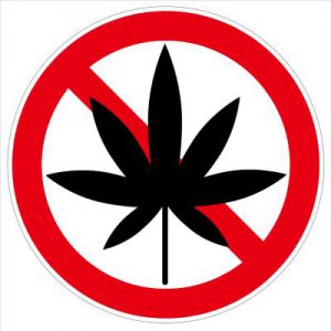 不正大麻けし撲滅運動