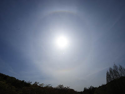 みんぷら日傘をさした太陽0520