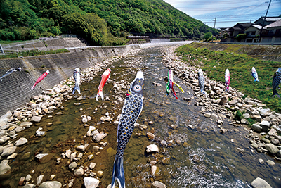 鯉のぼりアイキャッチ