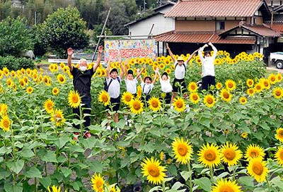 みんぷら河内のヒマワリ0923