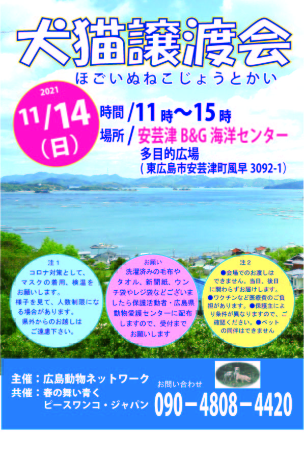 犬猫譲渡会チラシ