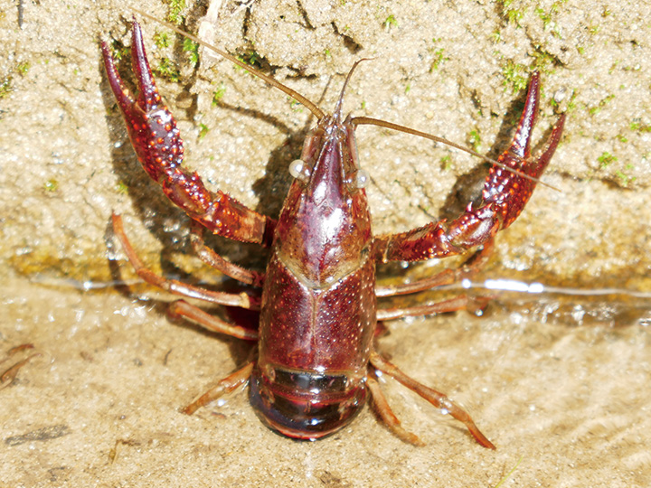 ただ今、日光浴中