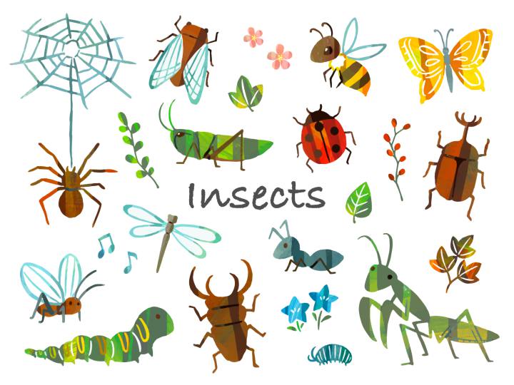 身近な生きもの