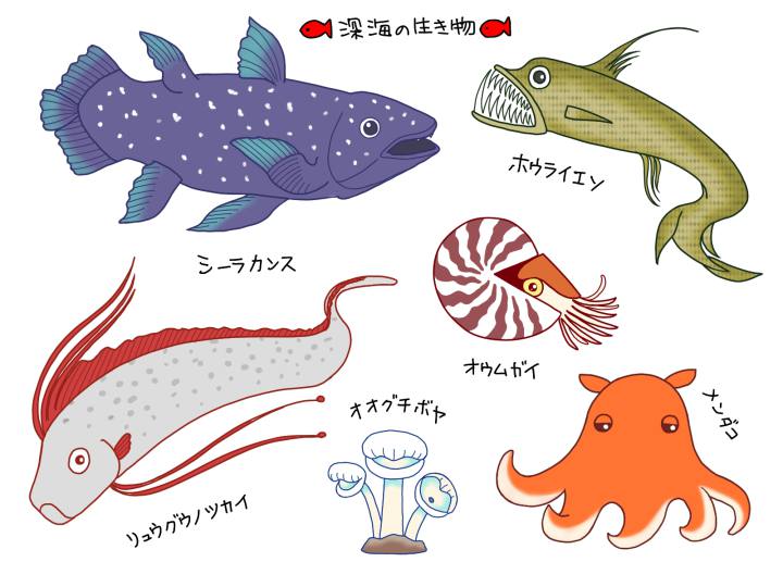 すごい生きものたち