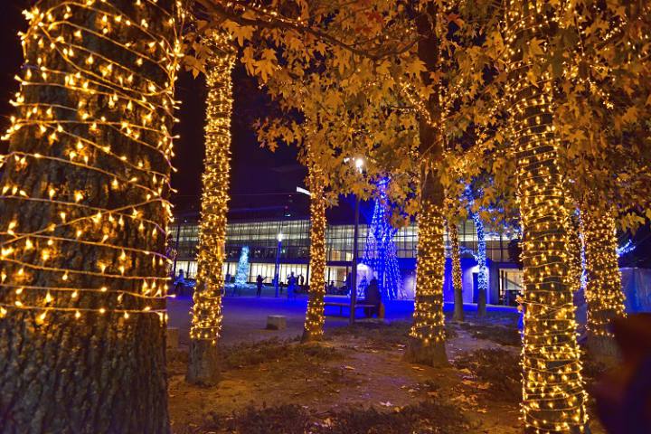 イルミネーション