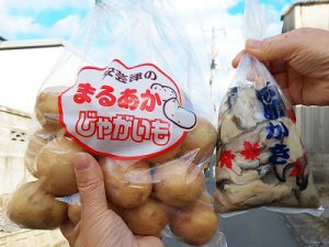 カキジャガイモ