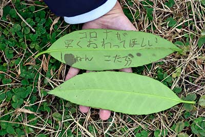 みんぷら天然のメモ帳