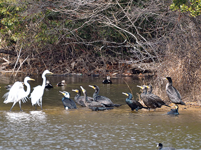 朝のミーティング