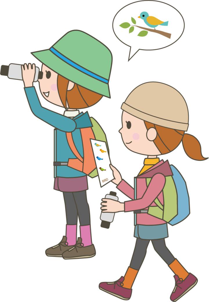 バードウォッチング