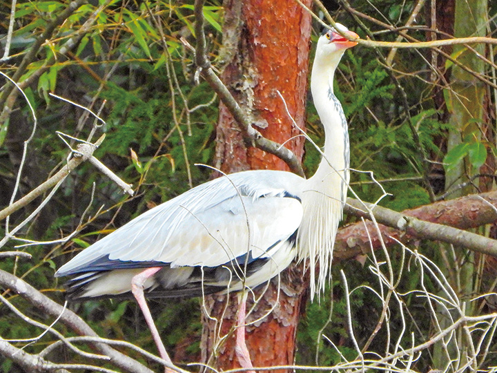 搬出に四苦八苦
