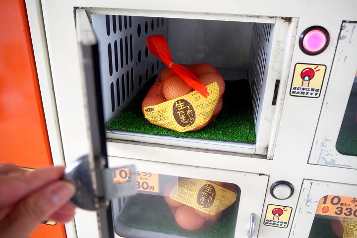 自動販売機から取り出した卵