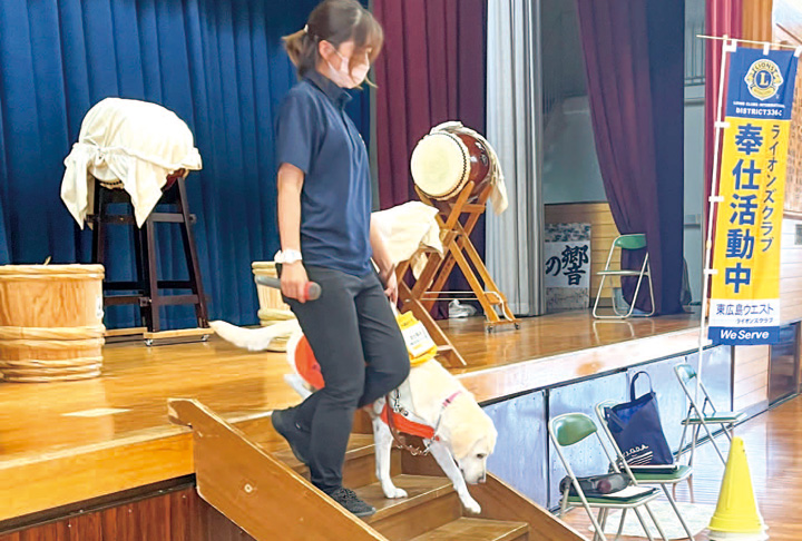 アクアと一緒に階段を下りる様子を披露する角谷さん(撮影・林)