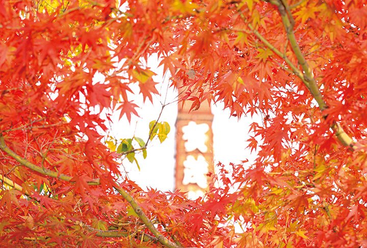 酒蔵通りの紅葉スポット