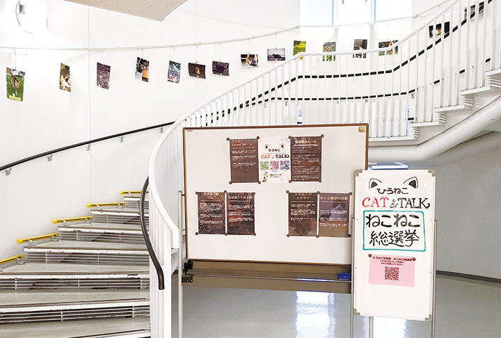 お気に入りの猫写真に投票する企画も行われている展示会（撮影・林）