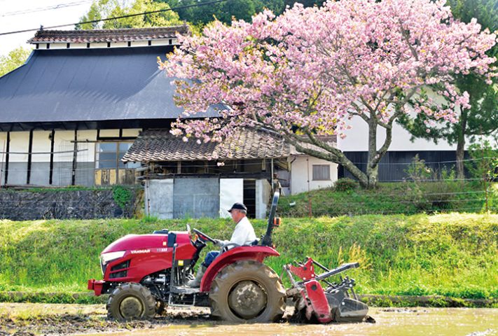 日本の原風景　田んぼの代かき