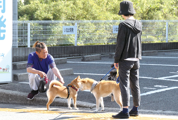 人も犬も朝のあいさつ