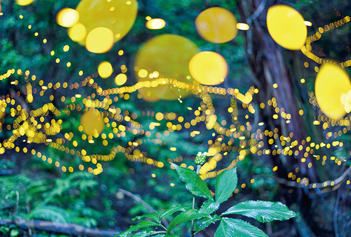 夏のイルミネーション