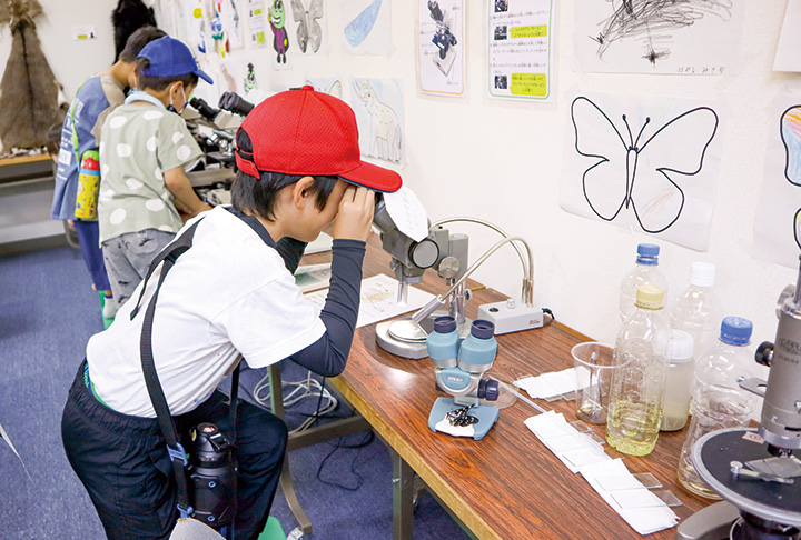 顕微鏡でミジンコを観察する参加者（撮影・山北）