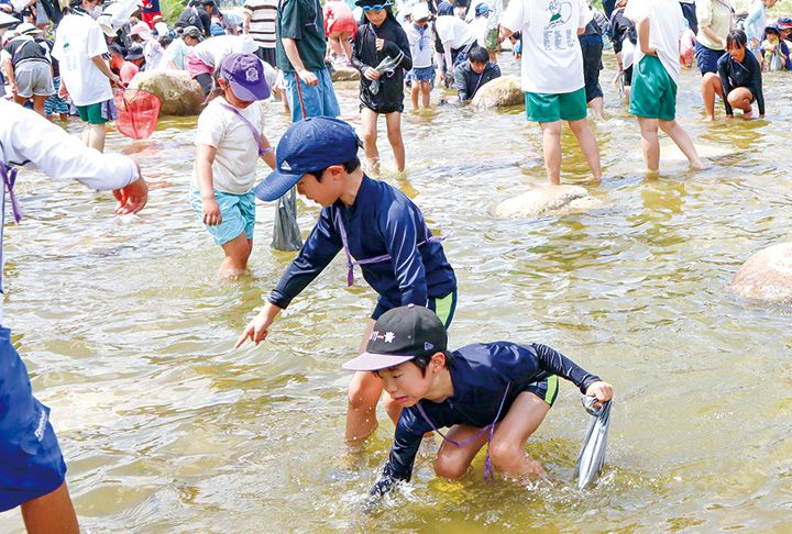 アユのつかみ取りに挑戦する子どもたち（撮影・山北）