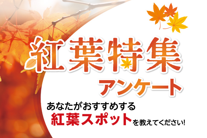 紅葉特集アンケート
