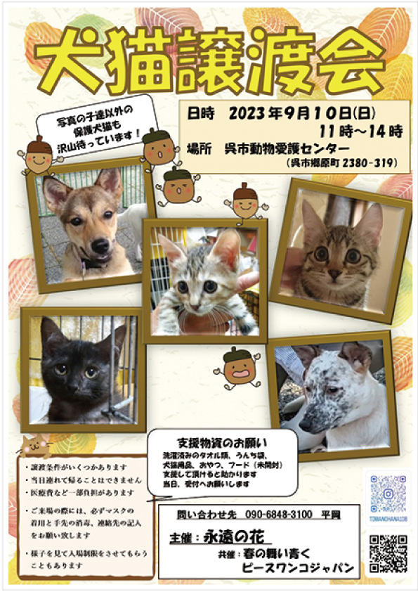 犬猫譲渡会