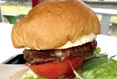 モッツァレラチーズバーガー 900円