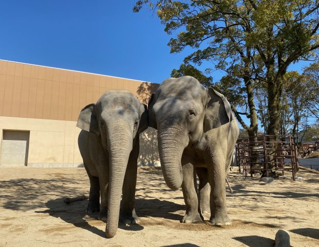 周南動物園