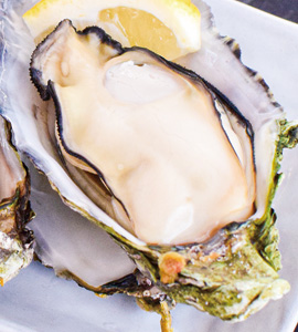 安芸津産牡蠣の酒蒸し(450円)
ふっくらと酒で蒸され、うま味たっぷり♪