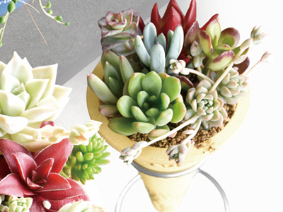 小さな器に入れてもかわいい♪