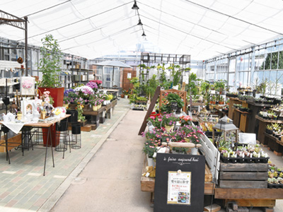 ＼明るく開放的になった／