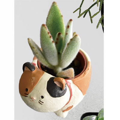 月兎耳（つきとじ）